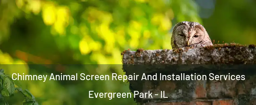  Chimney Animal Screen Repair And Installation Services Evergreen Park - IL