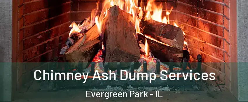  Chimney Ash Dump Services Evergreen Park - IL