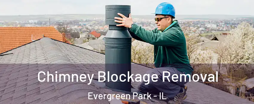  Chimney Blockage Removal Evergreen Park - IL