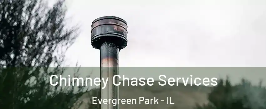  Chimney Chase Services Evergreen Park - IL