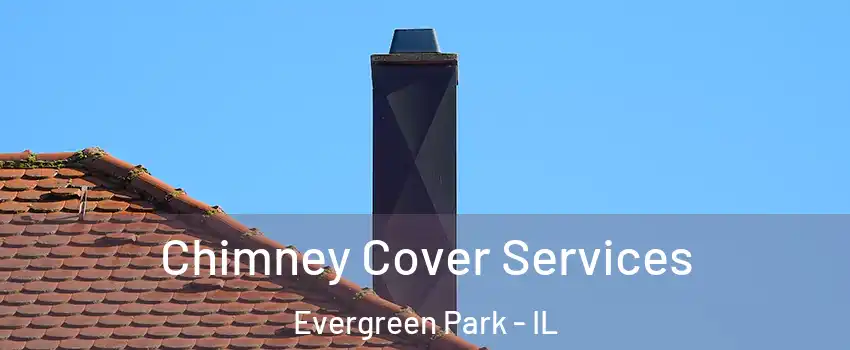  Chimney Cover Services Evergreen Park - IL