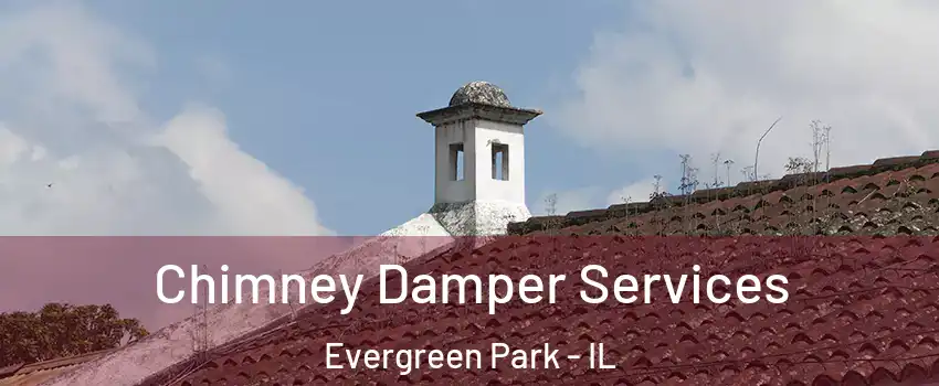  Chimney Damper Services Evergreen Park - IL