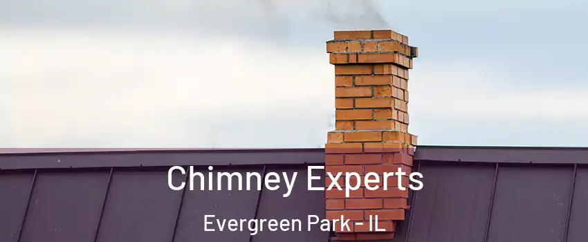 Chimney Experts Evergreen Park - IL