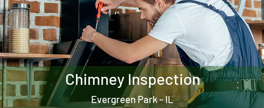  Chimney Inspection Evergreen Park - IL