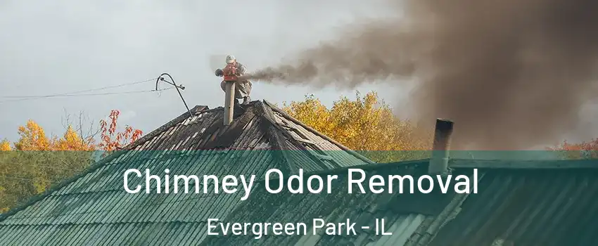  Chimney Odor Removal Evergreen Park - IL