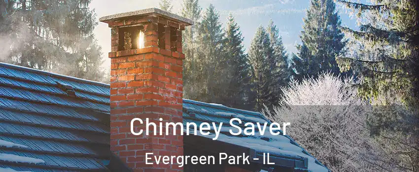  Chimney Saver Evergreen Park - IL