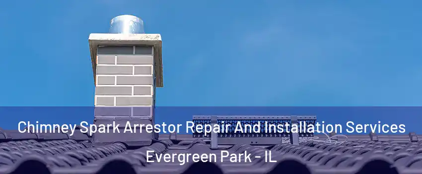  Chimney Spark Arrestor Repair And Installation Services Evergreen Park - IL