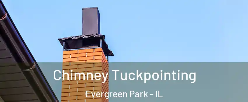  Chimney Tuckpointing Evergreen Park - IL