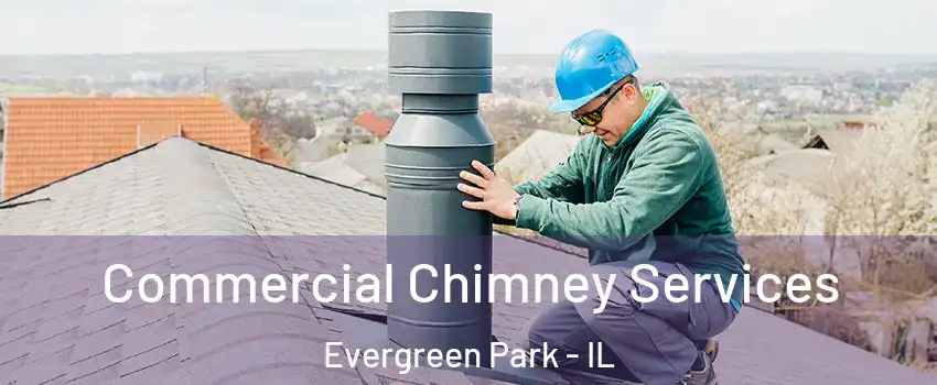  Commercial Chimney Services Evergreen Park - IL