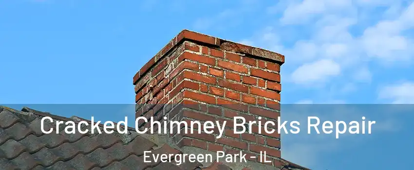  Cracked Chimney Bricks Repair Evergreen Park - IL