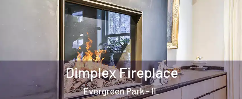  Dimplex Fireplace Evergreen Park - IL