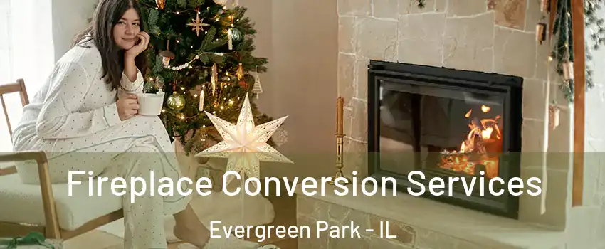  Fireplace Conversion Services Evergreen Park - IL