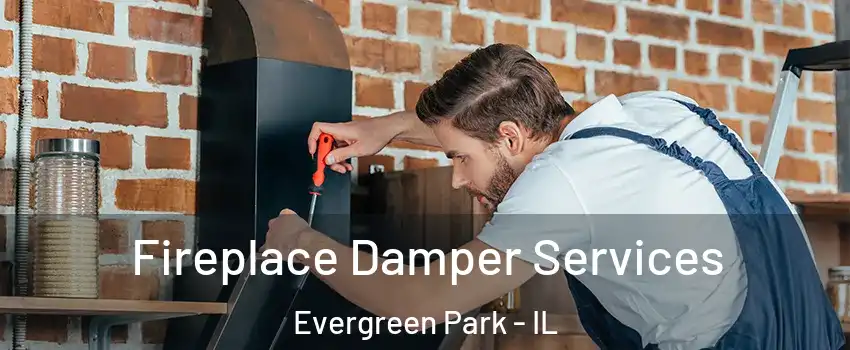  Fireplace Damper Services Evergreen Park - IL