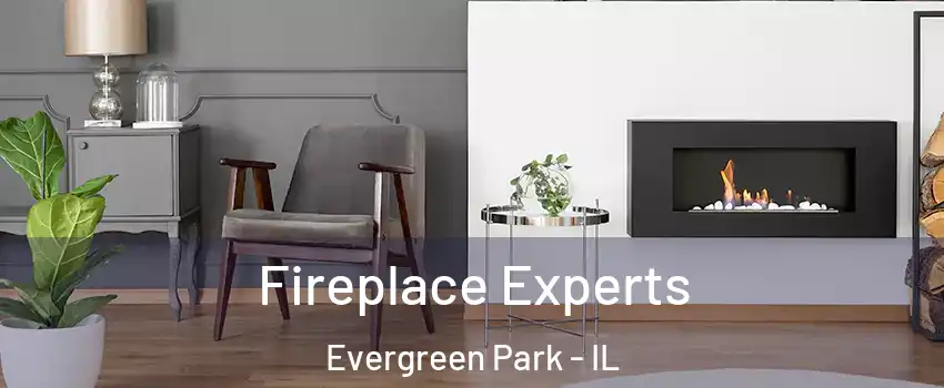  Fireplace Experts Evergreen Park - IL