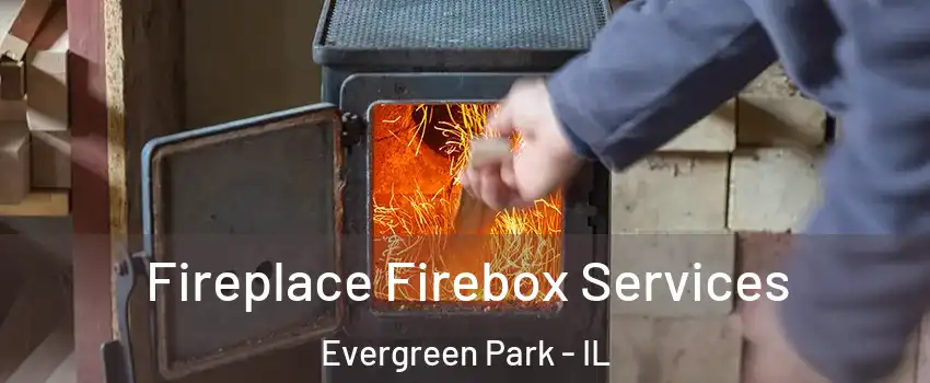  Fireplace Firebox Services Evergreen Park - IL