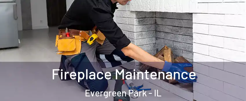  Fireplace Maintenance Evergreen Park - IL