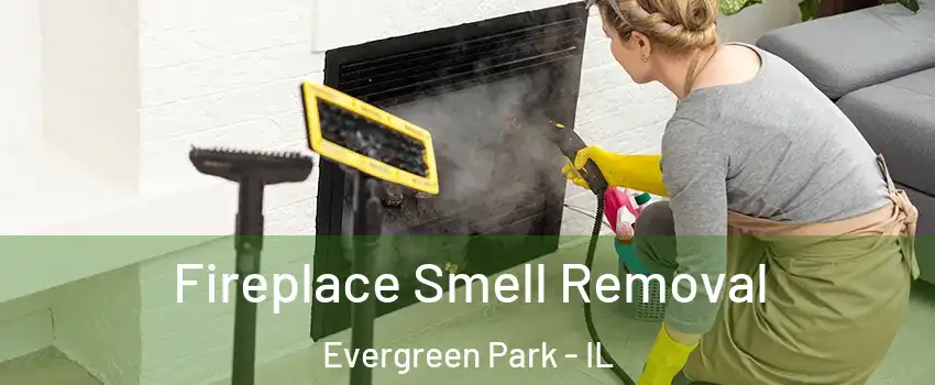  Fireplace Smell Removal Evergreen Park - IL