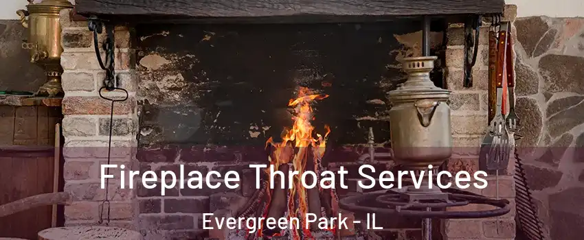  Fireplace Throat Services Evergreen Park - IL
