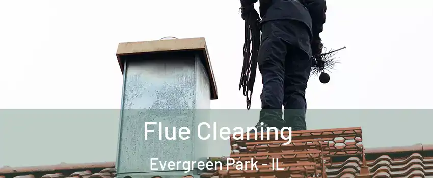  Flue Cleaning Evergreen Park - IL