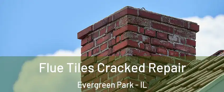  Flue Tiles Cracked Repair Evergreen Park - IL