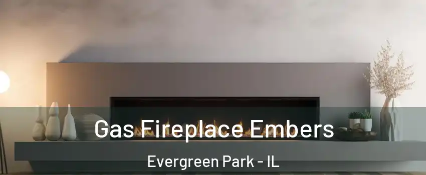  Gas Fireplace Embers Evergreen Park - IL