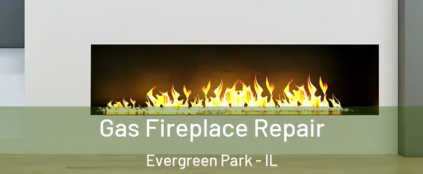  Gas Fireplace Repair Evergreen Park - IL
