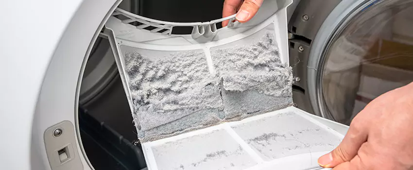 Best Dryer Lint Removal Company in Evergreen Park, Illinois