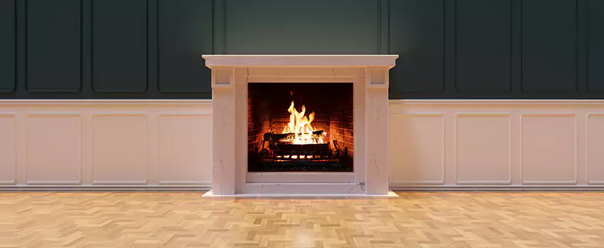 Napoleon Electric Fireplaces Inspection Service in Evergreen Park, Illinois