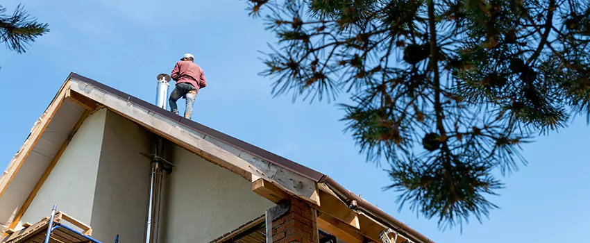 Birds Removal Contractors from Chimney in Evergreen Park, IL