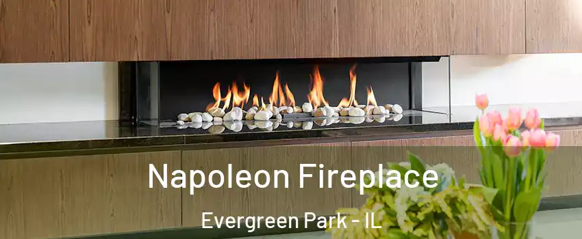  Napoleon Fireplace Evergreen Park - IL