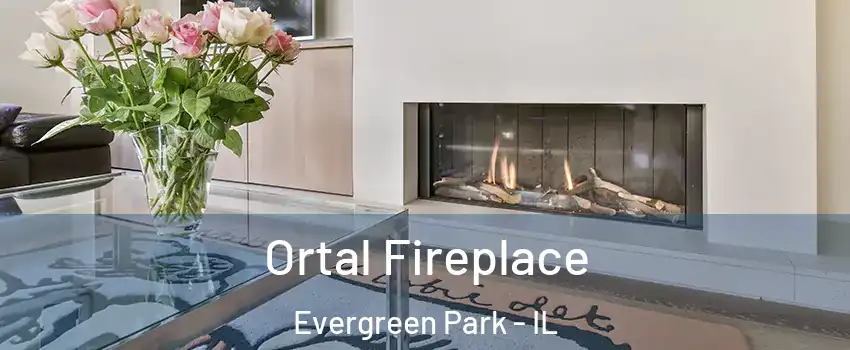 Ortal Fireplace Evergreen Park - IL