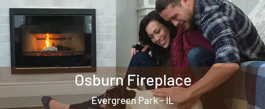  Osburn Fireplace Evergreen Park - IL